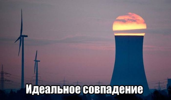 Прикольные картинки