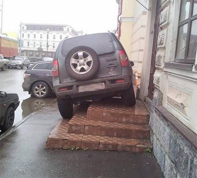 Прикольные картинки
