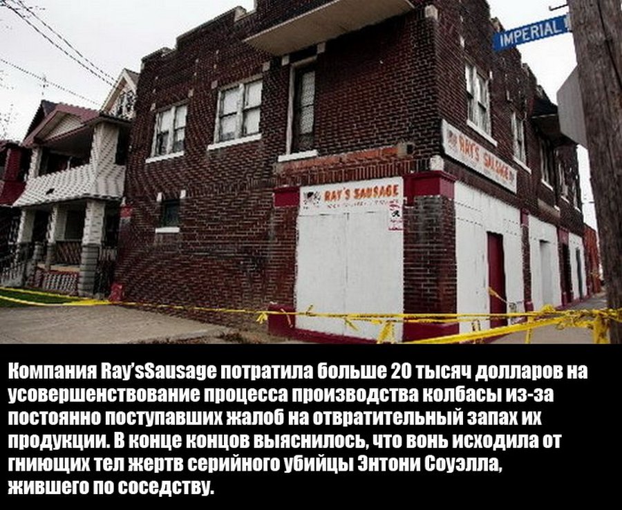Удиви друзей Удивительные факты обо всем на свете