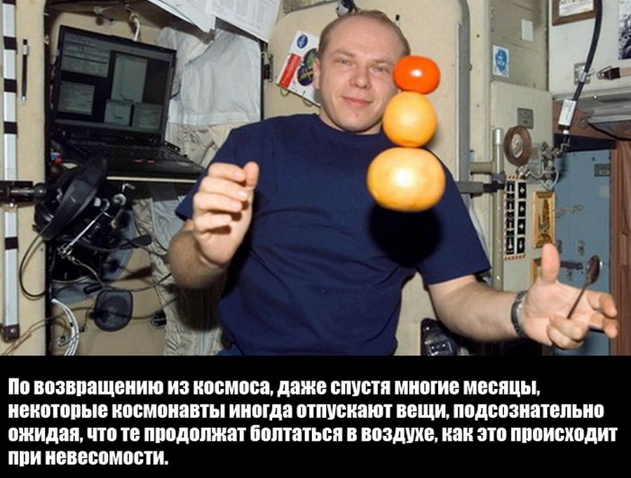 Удиви друзей Удивительные факты обо всем на свете