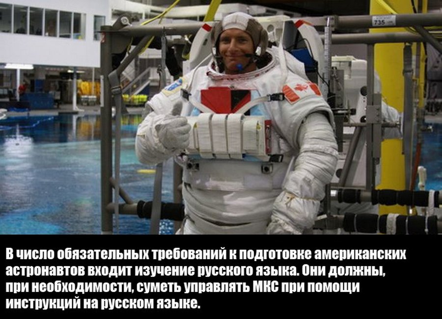 Удиви друзей Удивительные факты обо всем на свете