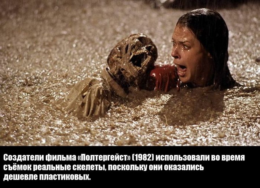 Удиви друзей Удивительные факты обо всем на свете