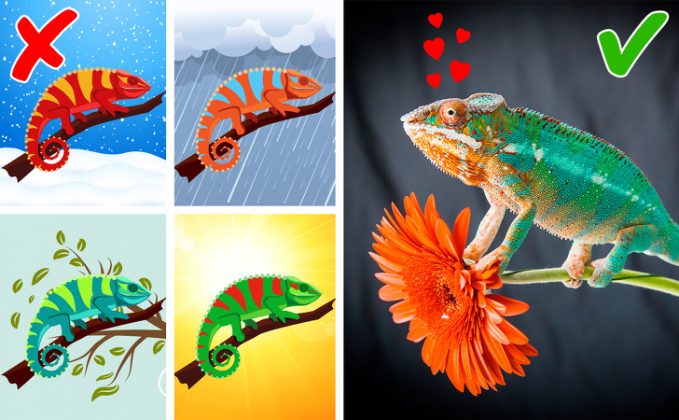 Разоблачаем мифы: известные факты, которые на самом деле являются ложными