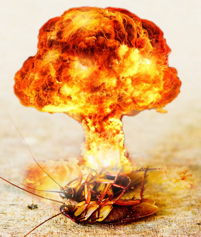 Разоблачаем мифы: известные факты, которые на самом деле являются ложными