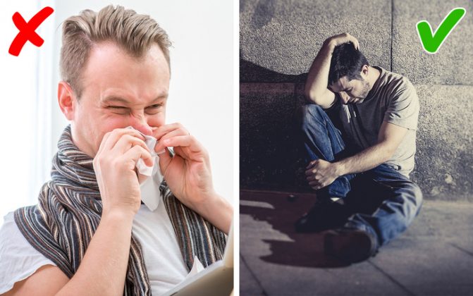 Разоблачаем мифы: известные факты, которые на самом деле являются ложными