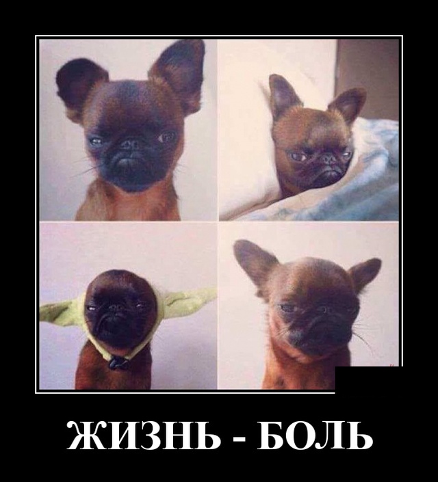 Демотиваторы