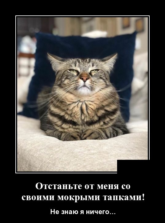 Демотиваторы