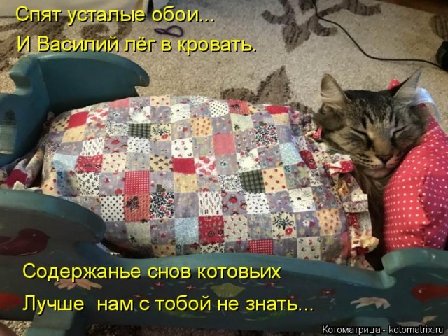 Лучшие котоматрицы недели