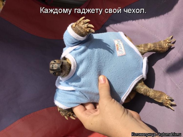 Лучшие котоматрицы недели