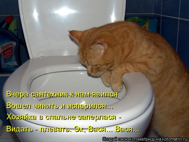 Лучшие котоматрицы недели