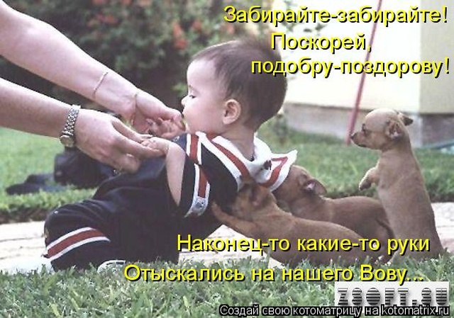 Лучшие котоматрицы недели