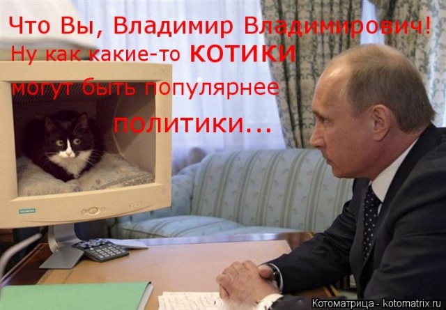 Лучшие котоматрицы недели