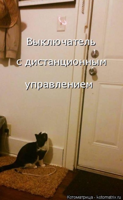 Лучшие котоматрицы недели