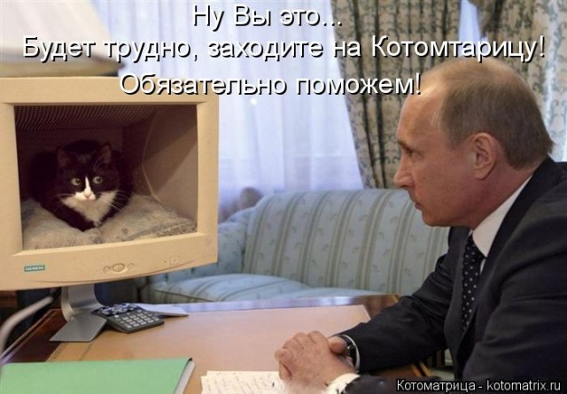 Лучшие котоматрицы недели