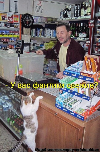 Лучшие котоматрицы недели