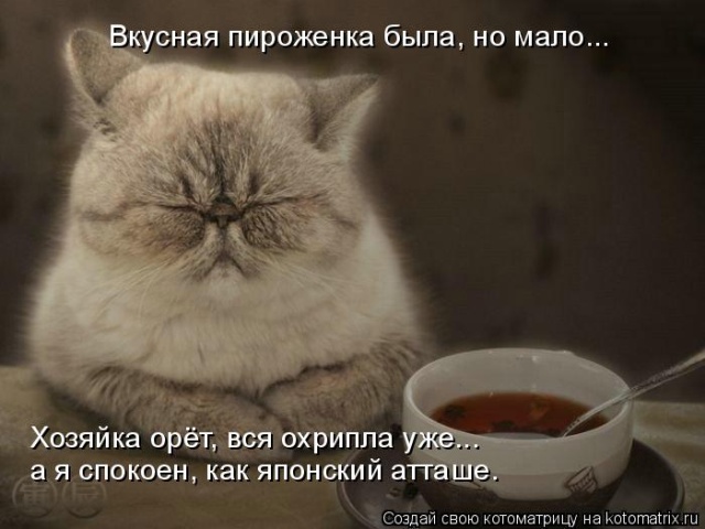 Лучшие котоматрицы недели
