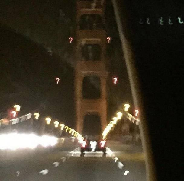 20 необычных фотографий от людей, которым непонятно то ли повезло, то ли нет