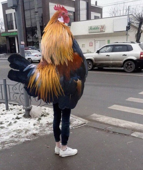 Необычные снимки и юмор с просторов нашей бескрайней