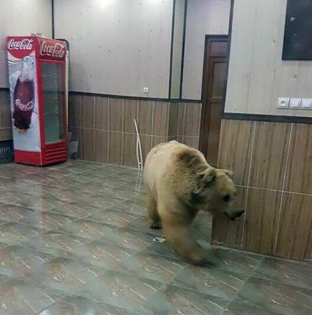 Необычные снимки и юмор с просторов нашей бескрайней