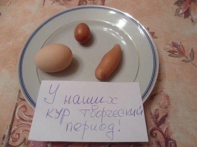 Необычные снимки и юмор с просторов нашей бескрайней