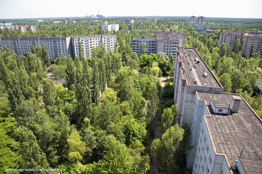 Припять — город, где остановилось время