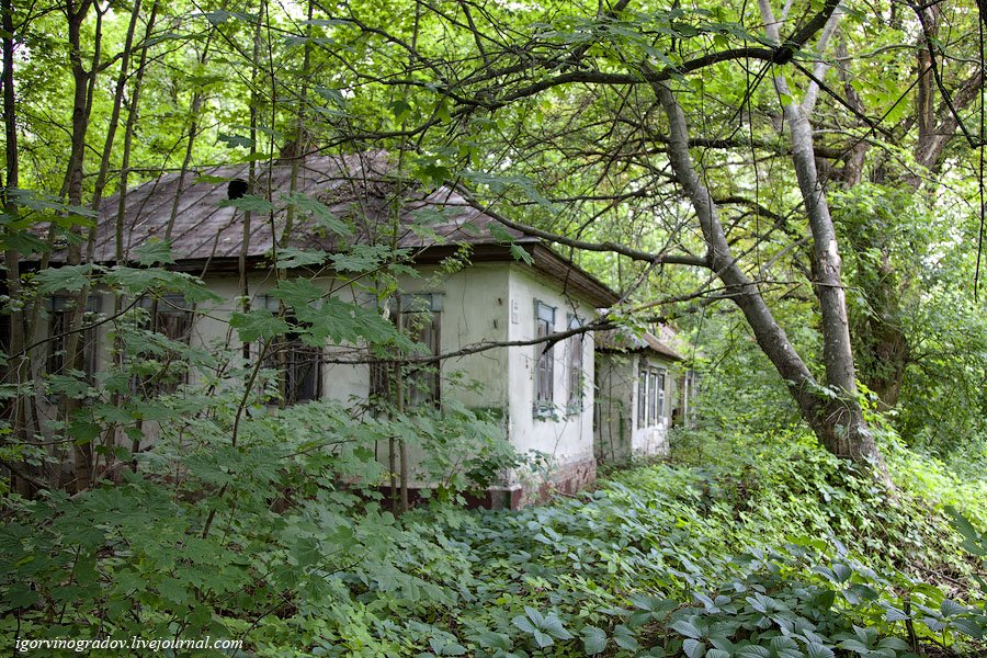 Припять — город, где остановилось время