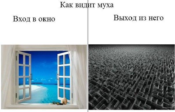 Смешные комиксы (30 фото)