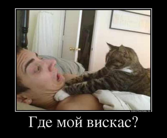 Демотиваторы (45 фото)