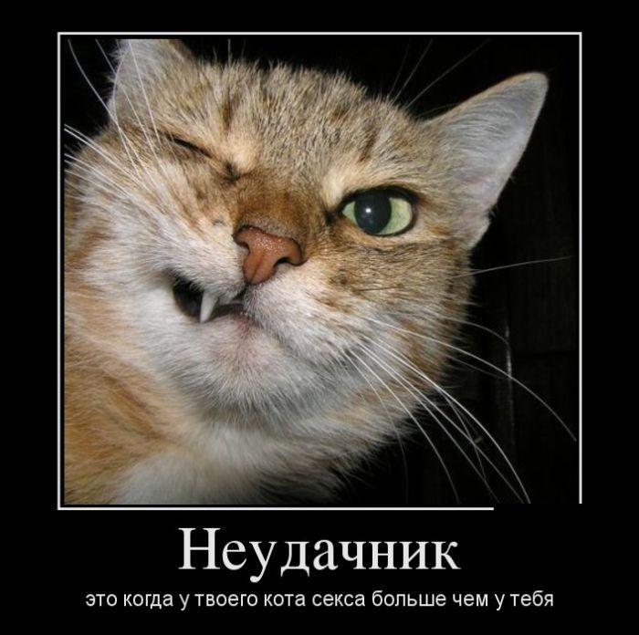 Демотиваторы (45 фото)
