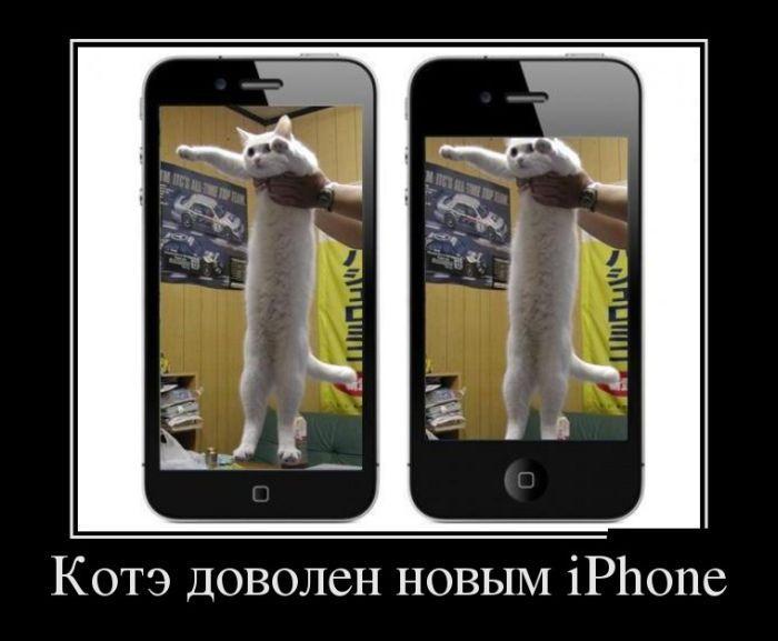 Демотиваторы (45 фото)