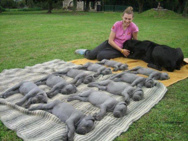 Прикольные картинки (57 фото)