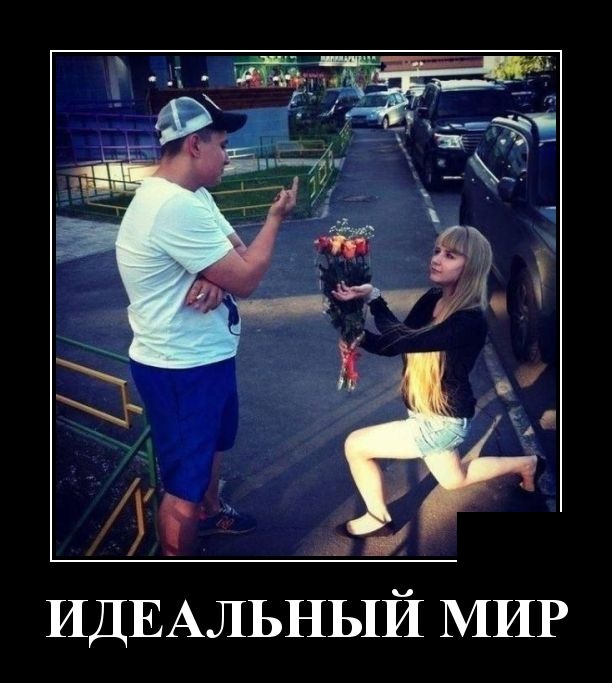 Демотиваторы
