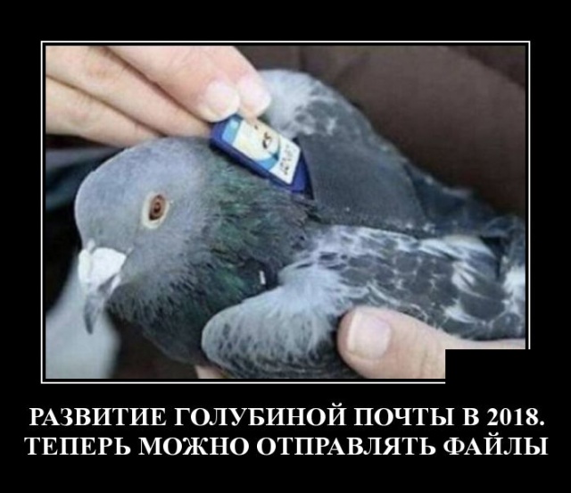Демотиваторы