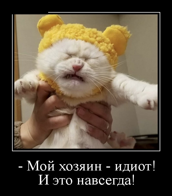 Демотиваторы