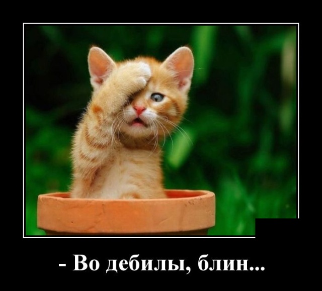Демотиваторы