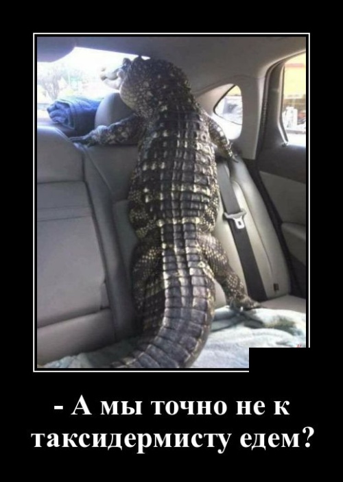 Демотиваторы