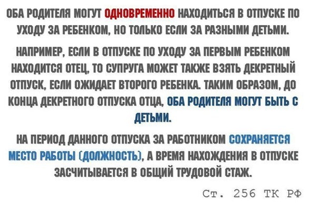 Статьи трудового кодекса, которые должен знать каждый