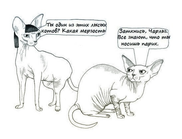 Смешные комиксы