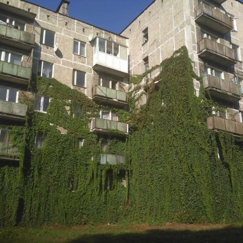 Удивительные снимки с российских просторов