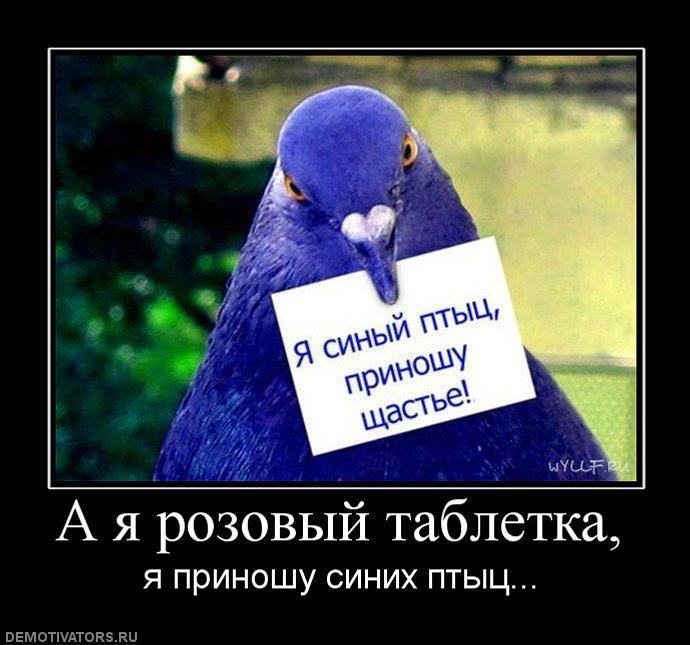 Демотиваторы