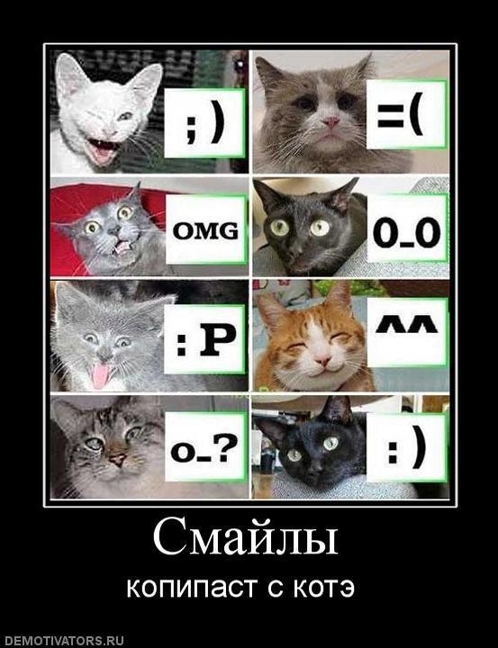 Демотиваторы
