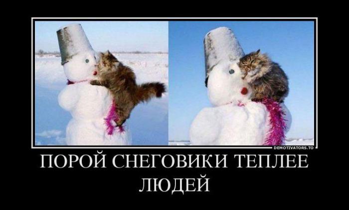 Демотиваторы