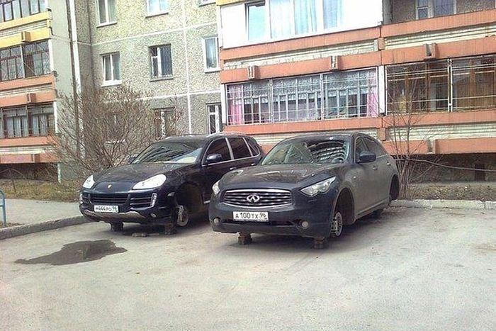 Прикольные картинки