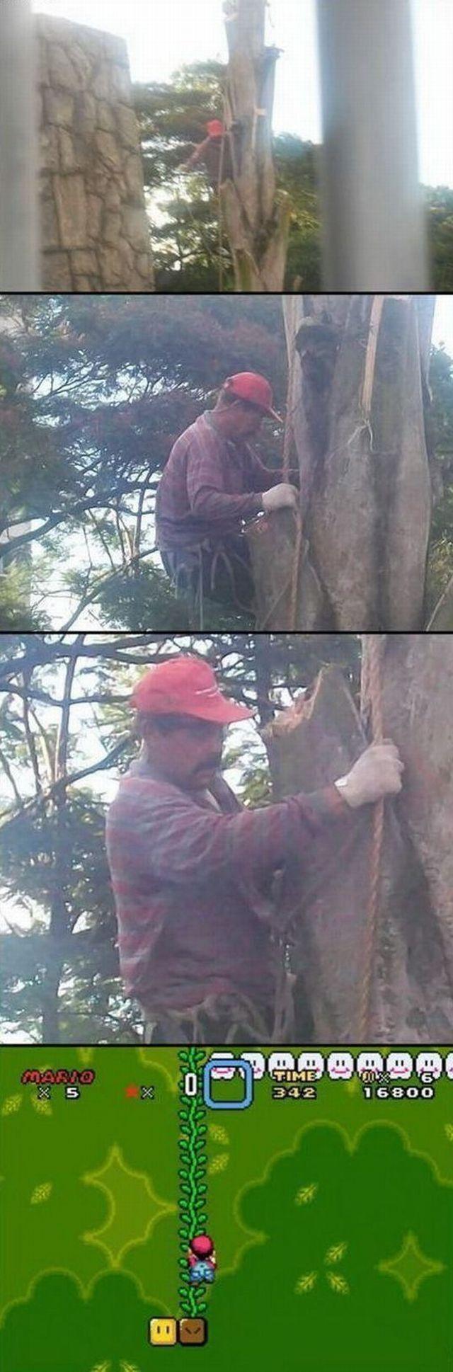 Прикольные картинки
