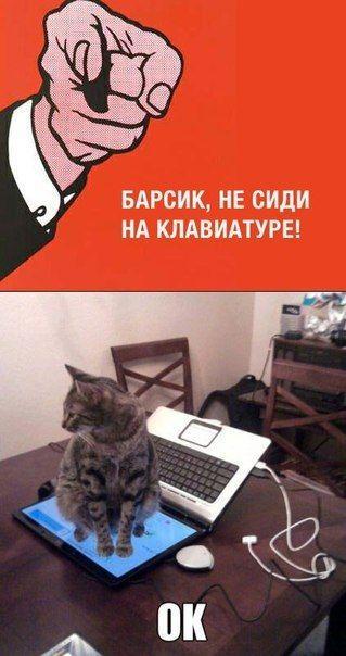 Прикольные картинки