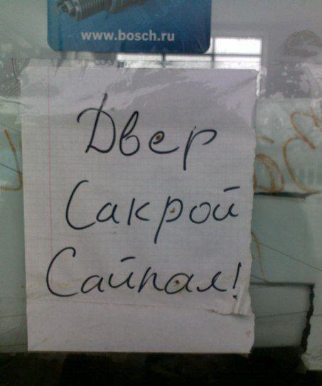 Прикольные картинки