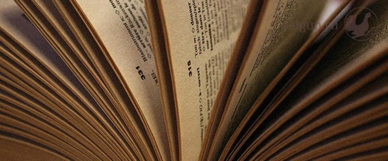 Любопытные загадки для всей семьи