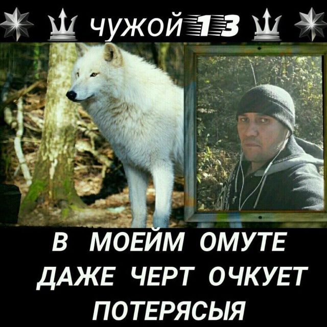 Приколы из «Одноклассников»