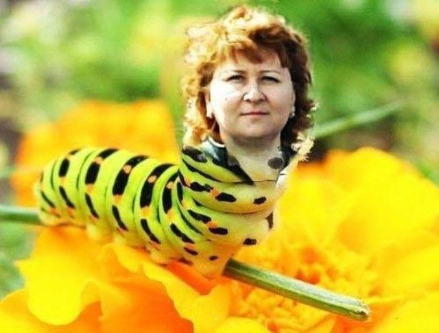 Приколы из «Одноклассников»