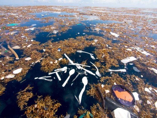 В Карибском море обнаружили остров из пластикового мусора